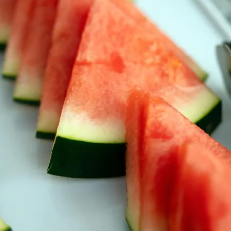 Ξενοδοχείο Estacao -